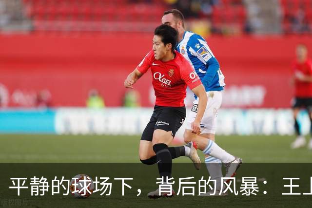平静的球场下，背后的风暴：王上源直言球队需重整旗鼓